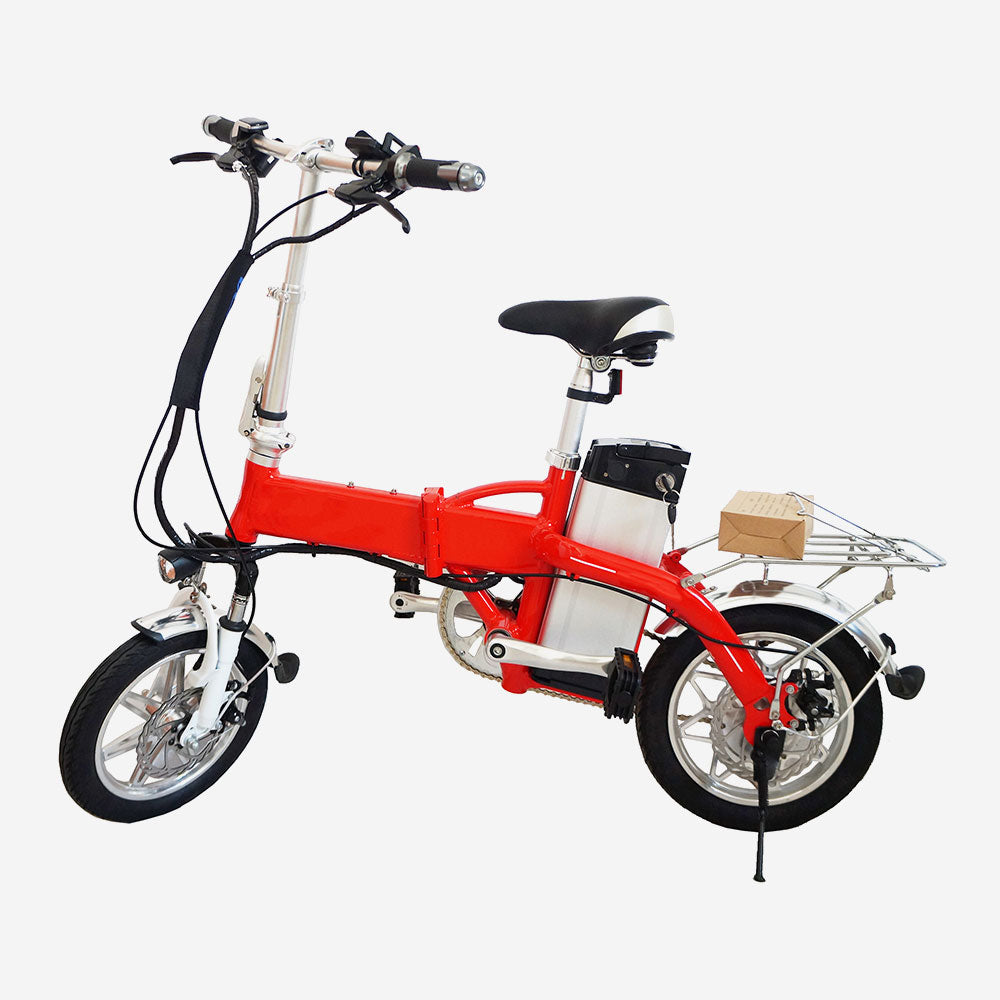 Pedal Assist Electric Bicycle
